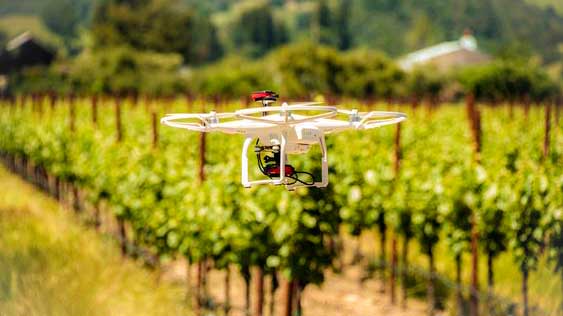 Vidéo drone vignoble